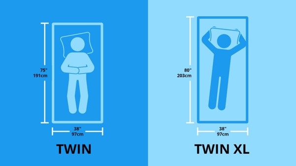 Twin Bed Size